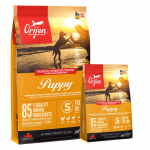 ORIJEN koerakutsikas 11.4kg