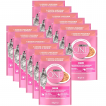 Purina One Junior l&otilde;he ja porganditega 12x85g