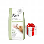 Brit gf veterinaar dieedid koer Diabeet 2kg + &Uuml;llatus teie koerale