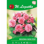 Non Stop roosa mugulbegonia, 2 tk.