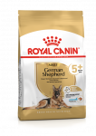 ROYAL CANIN German Shepherd Adult 5+ 12kg kuivtoit t&auml;iskasvanud saksa lambakoerale, &uuml;le 5 aasta vanustele koertele