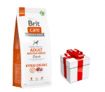 BRIT CARE koer h&uuml;poallergeenne t&auml;iskasvanud keskmise t&otilde;ugu lambaliha 12kg + STAGMEN koerale