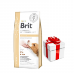 Brit GF Veterinary Diets koera maksahaigus 2 kg + &uuml;llatus teie koerale