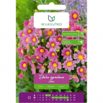 Dalia Luna roosa 1 tk.