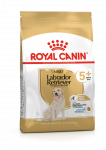 ROYAL CANIN Labrador Retriiver Adult 5+ 12kg kuivtoit t&auml;iskasvanud labrador retriiveritele, &uuml;le 5 aasta vanustele koertele