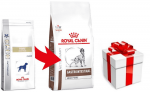 ROYAL CANIN Fibre Response Gastrointestinal 7,5kg + STAIGMENA KUTSE KOERALE