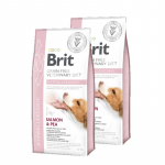 Brit GF veterinaarravimid koertele h&uuml;poallergeenilised 2x2 kg