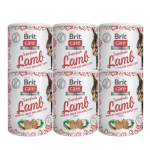 BRIT CARE kasside maius Superfruits Lamb 6x100g