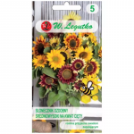 Keskmise k&otilde;rgusega p&auml;evalill, &uuml;ksik, l&otilde;ikelill, segu