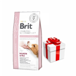 Brit GF veterinaarravimid koertele h&uuml;poallergeeniline 2 kg + &uuml;llatus teie koerale
