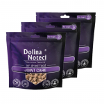 DOLINA NOTECI Treeningu maiused Joint Care treeningu maiused koertele 3x130g