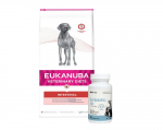 EUKANUBA Intestinal Dog 12 kg + LAB-V Synbiotic Vet &ndash; seedetrakti tervis ja soole mikrofloora koertele ja kassidele 45 kapslit