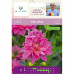 Dalia Pink Lotus roosa 1 tk.