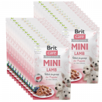 BRIT CARE Mini lambafilee kastmes kutsikatele 24x85g