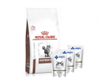 ROYAL CANIN Gastro Intestinal GI 32 2 kg CAT + ENZO VET Soole ja lambalihaga kastmega kassidele 3x100 g