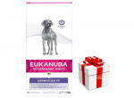 EUKANUBA Dermatosis FP 12 kg + STAIGMENA KOERTELE
