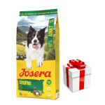 JOSERA SensiPlus 12,5 kg + STAIGMENA KOERTELE