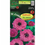 Zawilec Admiral roosa 8 tk.