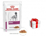 ROYAL CANIN Renal 12x100g kotike (viilud kastmes) + STAGMENA KUTSE KOERALE