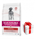 EUKANUBA Intestinal Dog 5 kg + STAIGMENA KOERTELE