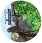 TRIXIE repti vihmapihusti