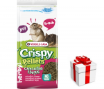 VERSELE-LAGA Crispy Pellets Chinchilla & Degu 1kg - pelletid t&scaron;int&scaron;iljadele ja sipelgatele