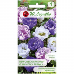 Aia kelluke t&auml;is&otilde;ieline segu