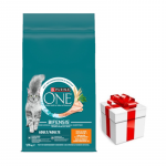 Purina One Adult Chicken & Wheat kassitoit 9,75 kg + &uuml;llatus teie kassile