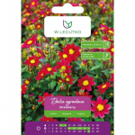 Dalia Strawberry punane 1 tk.