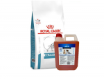 ROYAL CANIN Anallergenic AN18 8kg + LAB V l&otilde;he&otilde;li koertele ja kassidele 5000ml