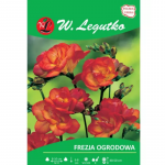 Punane freesia 10 tk.