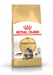 ROYAL CANIN Maine Coon Adult 400g kuivtoit t&auml;iskasvanud Maine Coon kassidele