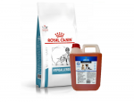 ROYAL CANIN Hypoallergenic DR21 14kg + LAB V l&otilde;he&otilde;li koertele ja kassidele 5000ml