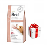 Brit gf veterinaar dieedid koerale Renal 12 kg + &Uuml;llatus teie koerale