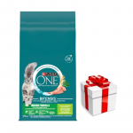 Purina One Indoor Formula kalkun ja nisu t&auml;iskasvanud kasside toit 9,75 kg + &uuml;llatus teie kassile