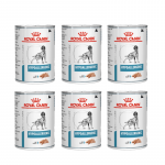 ROYAL CANIN H&uuml;poallergeeniline DR21 6x400g purk