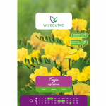 Kollane freesia 10 tk.