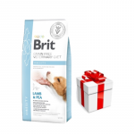 Brit GF veterinaarravimid koerte rasvumise vastu 12 kg + &uuml;llatus teie koerale