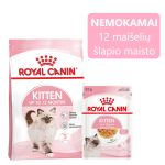 ROYAL CANIN Kitten 10kg kuivtoit kassipoegadele vanuses 4-12 kuud