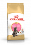 ROYAL CANIN Maine Coon Kitten 400g kuivtoit kassipoegadele, kuni 15 kuud, Maine coon t&otilde;ugu kassipoegadele