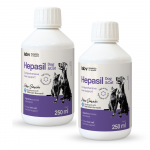Lab-v Hepasil Dog & Cat preparaat koerte ja kasside maksafunktsiooni parandamiseks 250 ml