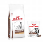 ROYAL CANIN Fibre Response Gastrointestinal koertele 2 kg + Royal Canin koerte seedetrakti tervise maiused 230 g