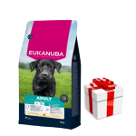 EUKANUBA T&auml;iskasvanud suurte t&otilde;ugude kana 15 kg + &uuml;llatus teie koerale