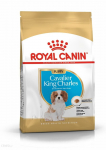 ROYAL CANIN Cavalier King Charles Spaniel Puppy 1,5kg kuivtoit kuni 10 kuu vanustele kutsikatele, cavalier king charles spaniel t&otilde;ugu