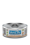 Farmina Vet Life Convalescence Cat 85g