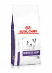 ROYAL CANIN Kastreeritud t&auml;iskasvanud v&auml;ike koer Kaal ja hambaravi 8kg