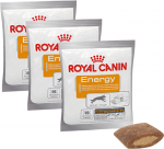 ROYAL CANIN toidulisand Energy 50g tervislik maiuspala t&auml;iskasvanud, aktiivsetele koertele