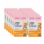 PURINA Cat Chow t&auml;iskasvanud kassitoit l&otilde;he ja roheliste ubadega želees 85g