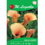 Kalla Cameo l&otilde;he 1 tk.