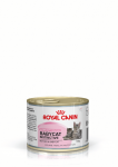 ROYAL CANIN Babycat Instinctive Feline - 195g purk